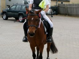 2012 Sommerturnering